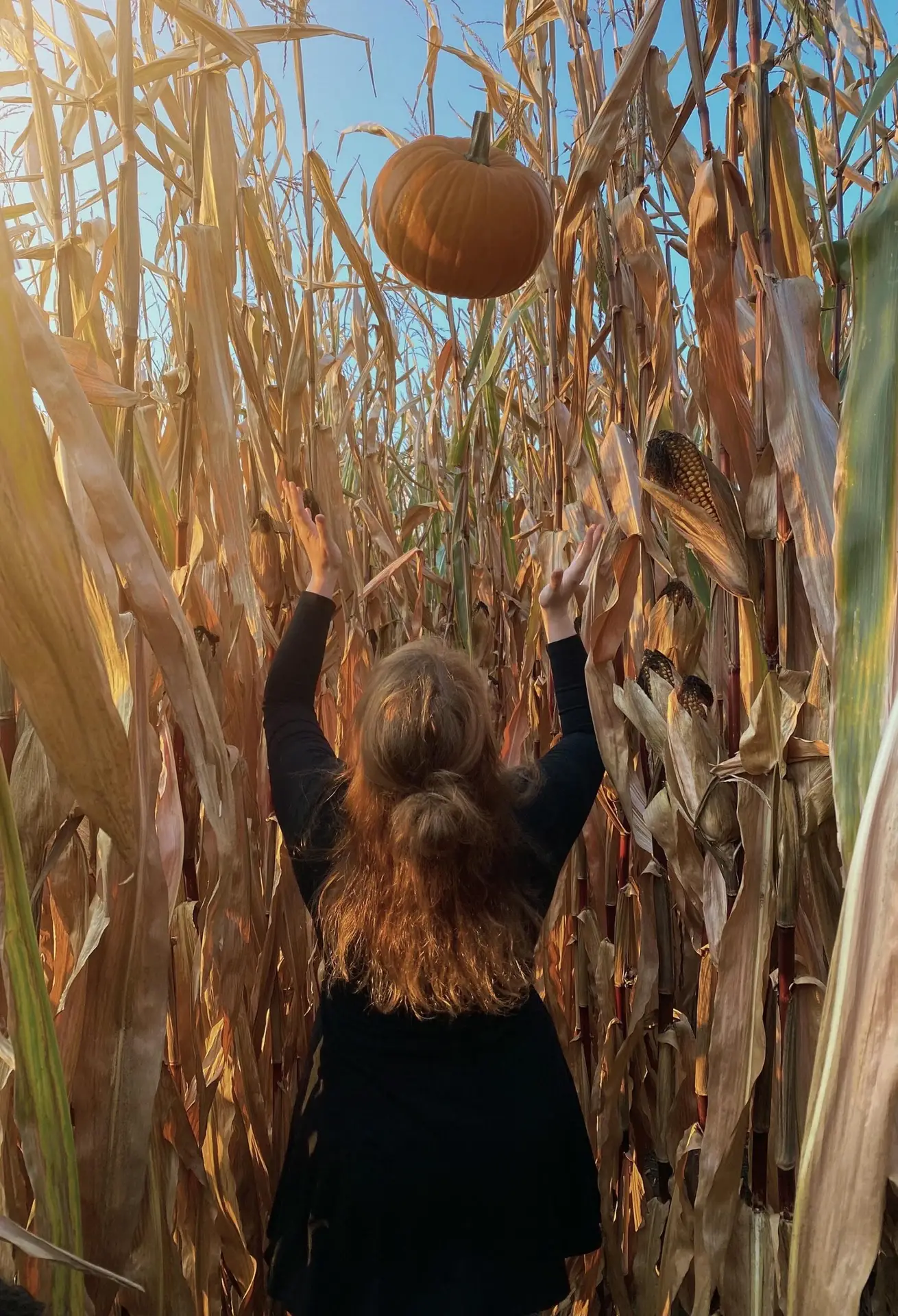fall pumpkin toss