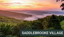 saddlebrooke-village