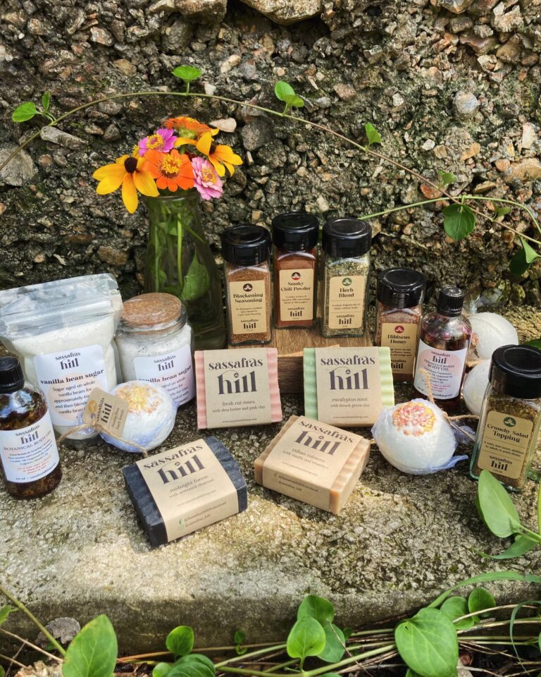 sassafras summer 768x960