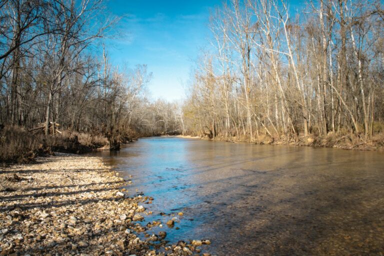 SwanCreek RecArea2 ds2 768x512