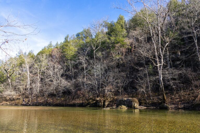 SwanCreek RecArea3 ds2 768x512