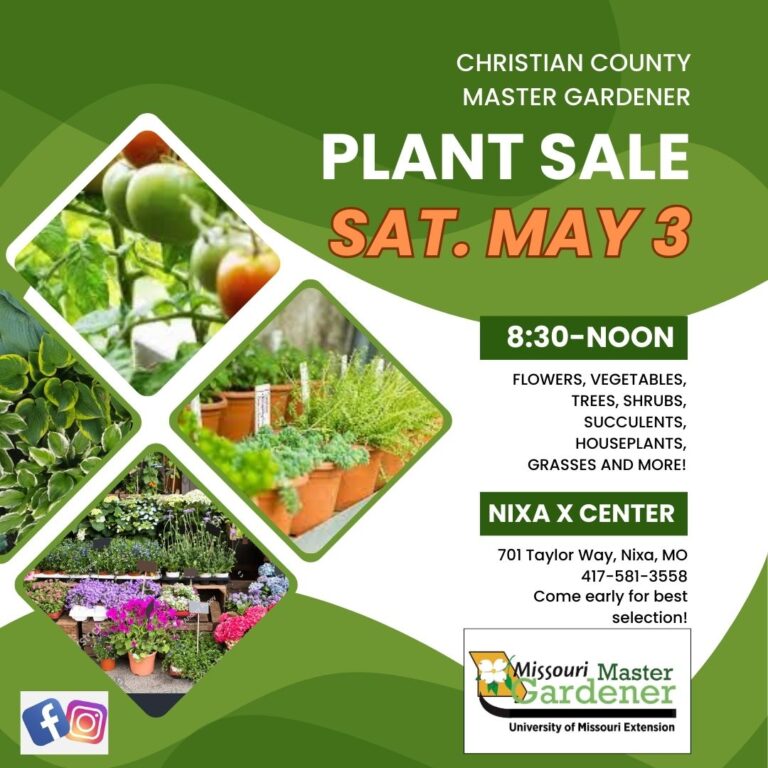 plant sale 768x768