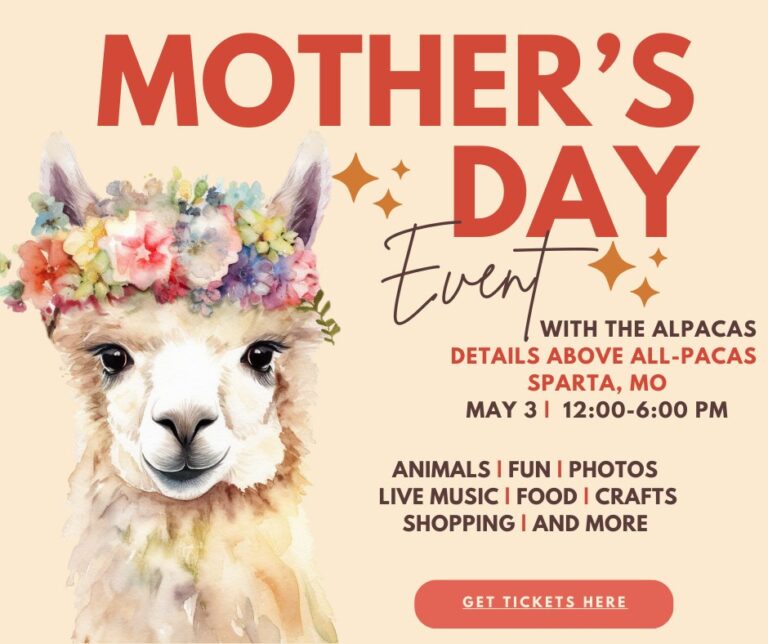 637681547 888625447256851 1629651401918629772 n 768x644