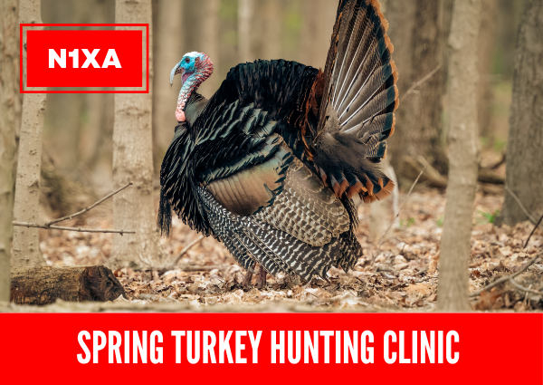 Imagescover photos 77 1