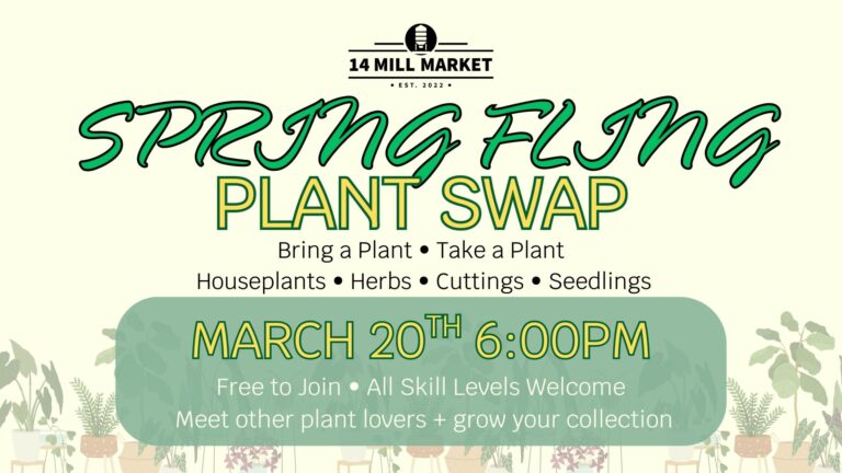 639810135 941987331672459 2741217020128242056 n 768x432