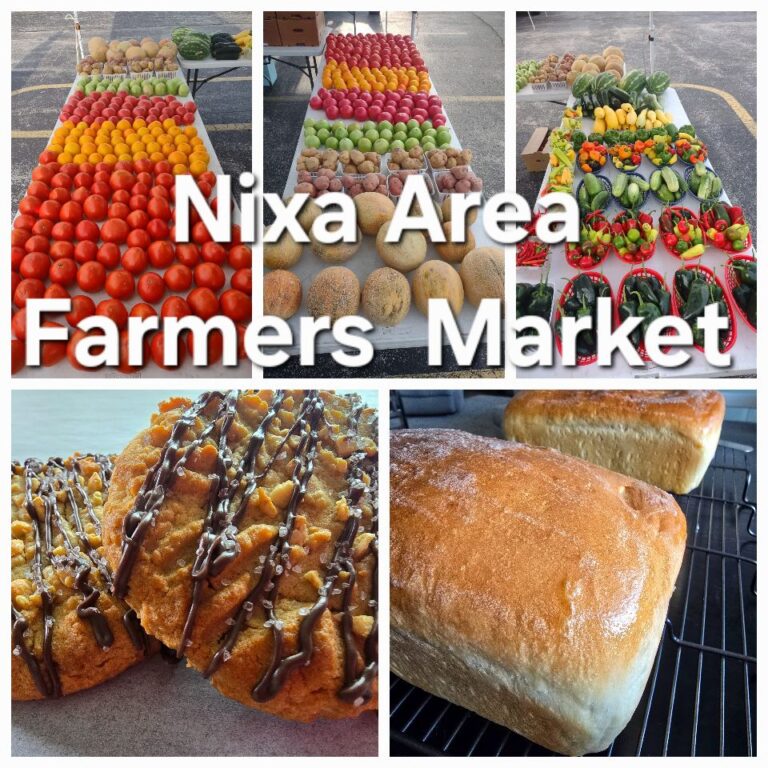 484196794 9747945151892805 5876167458290990242 n 768x768