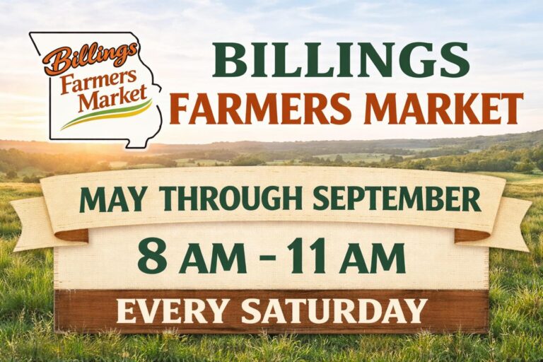 661206726 122115880149241554 2969088360774774250 n 768x512