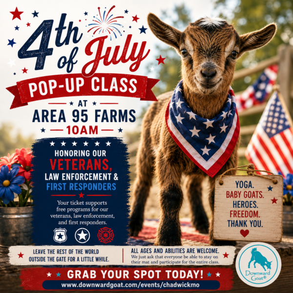 4th july graphic 600x600 1
